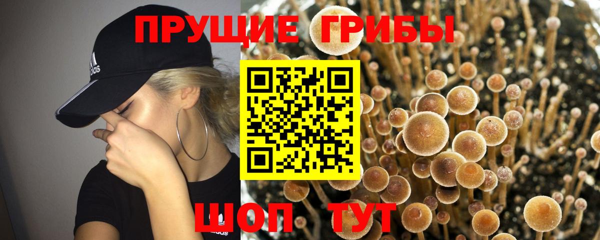 Псилоцибиновые грибы Magic Shrooms  Вход с VPN  Псилоцибиновые грибы MAGIC MUSHROOMS  Краснокаменск 